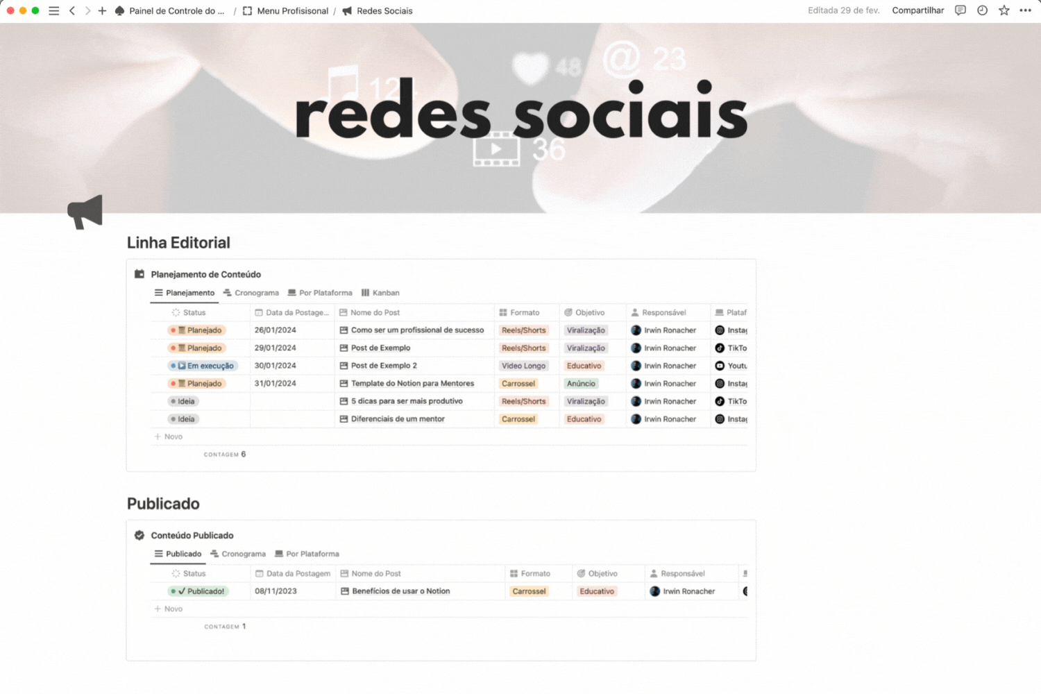 Painel de Controle do Mentor - Redes Sociais