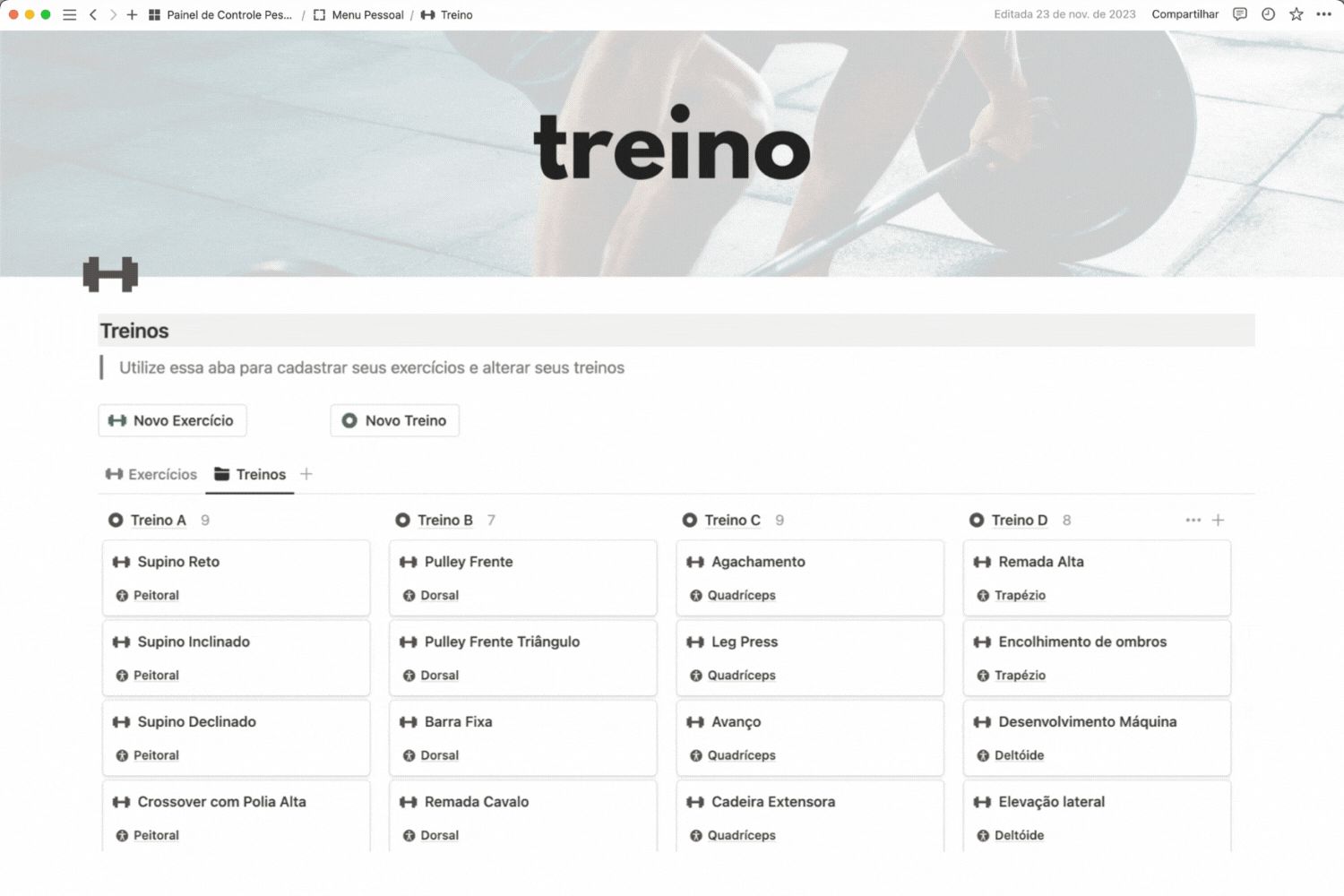 Painel de Controle Pessoal - Template Notion - Treino e Alimentação